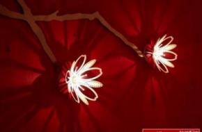 软装饰设计中迷人的樱花墙灯