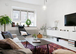 瑞典斯堪地纳维亚风格的素雅公寓